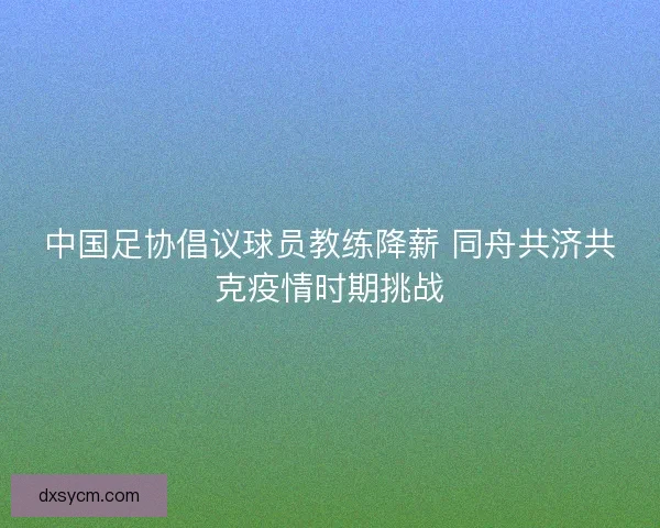 中国足协倡议球员教练降薪 同舟共济共克疫情时期挑战